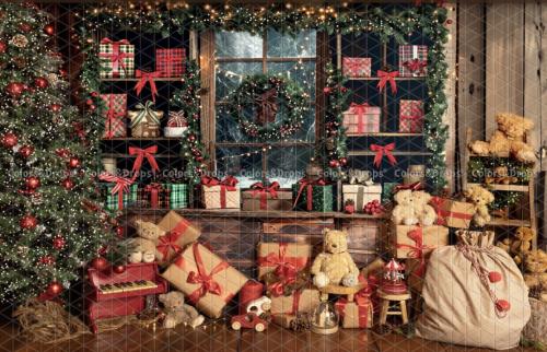 Mini séance Noël !